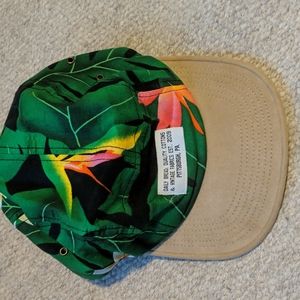 Daily bread hat Pittsburgh, PA